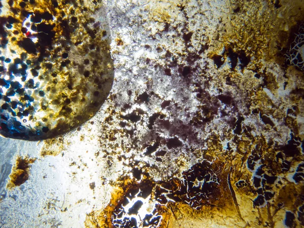 boya ile kimyasal deney