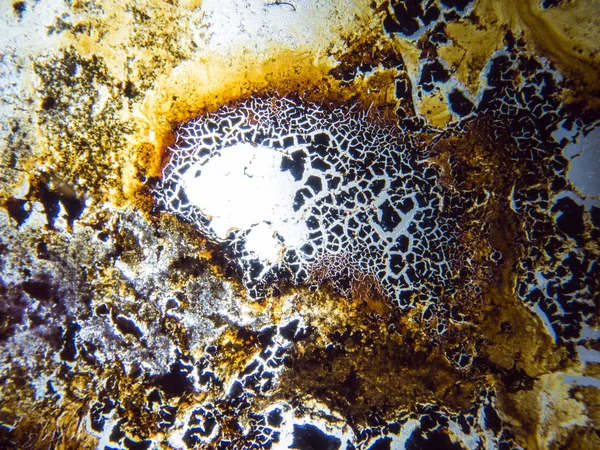 boya ile kimyasal deney