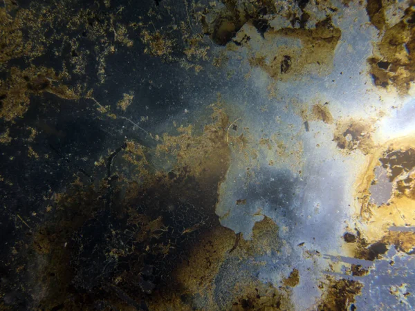 boya ile kimyasal deney