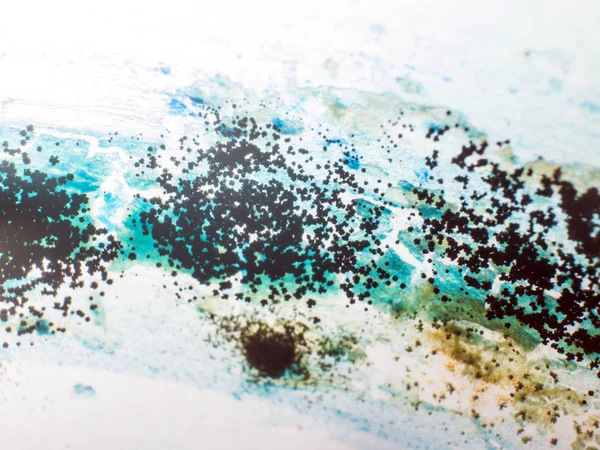 boya ile kimyasal deney