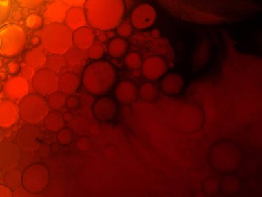 boya ile kimyasal deney