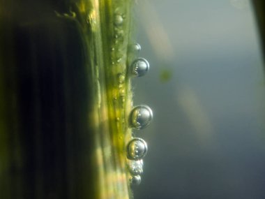 boya ile kimyasal deney