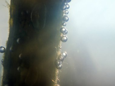 boya ile kimyasal deney