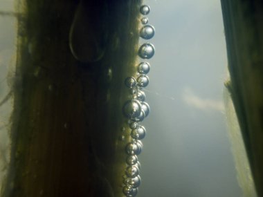 boya ile kimyasal deney