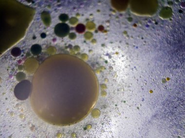 boya ile kimyasal deney