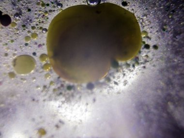 boya ile kimyasal deney