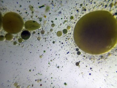 boya ile kimyasal deney