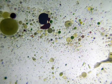 boya ile kimyasal deney