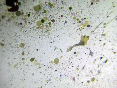 boya ile kimyasal deney