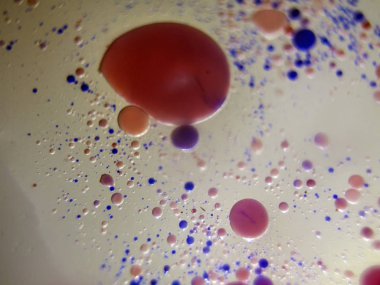 boya ile kimyasal deney