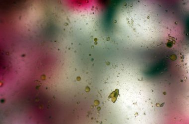 boya ile kimyasal deney