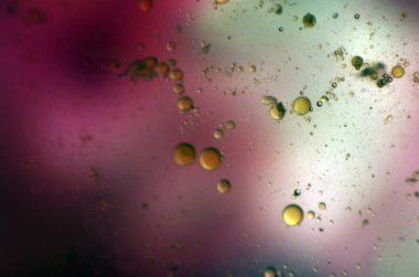 boya ile kimyasal deney