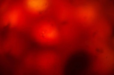 boya ile kimyasal deney