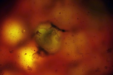 boya ile kimyasal deney