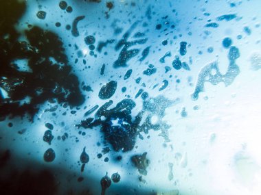 boya ile kimyasal deney