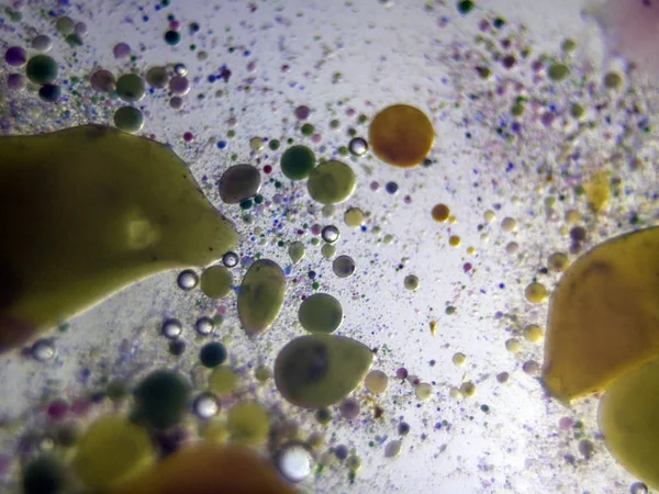 boya ile kimyasal deney