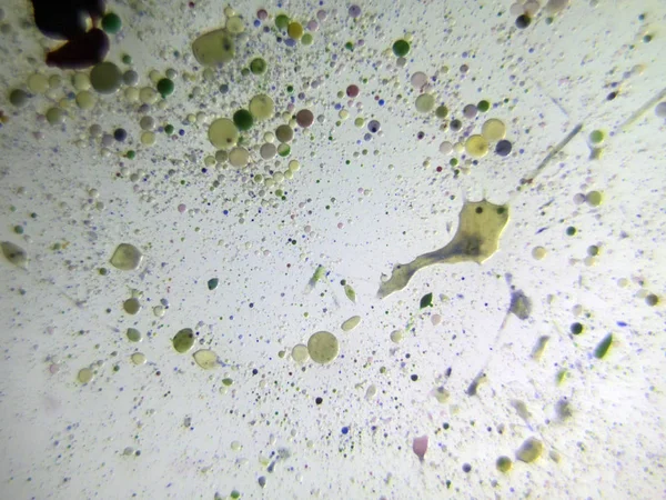 boya ile kimyasal deney