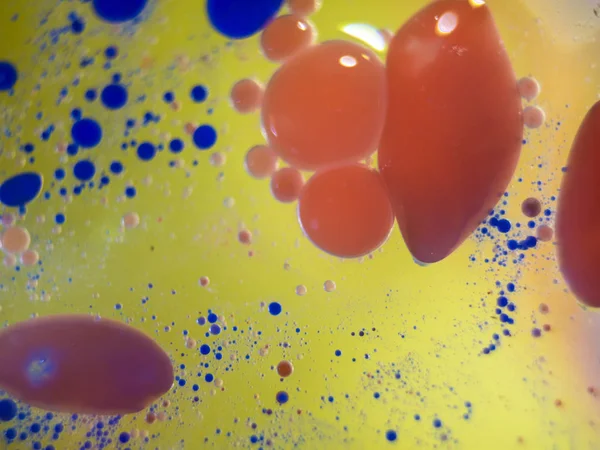 boya ile kimyasal deney