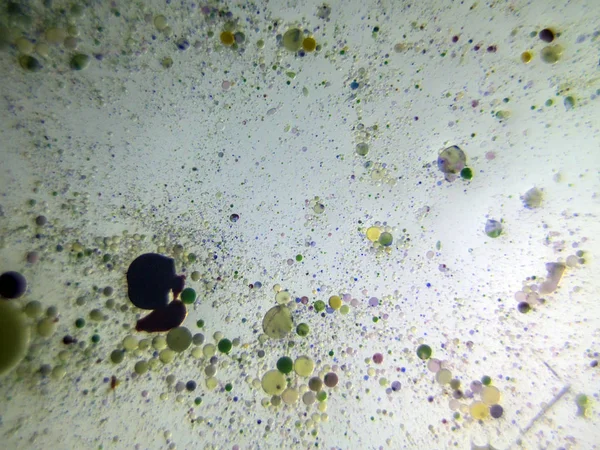 boya ile kimyasal deney