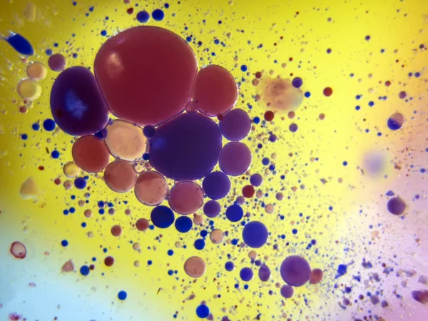 boya ile kimyasal deney