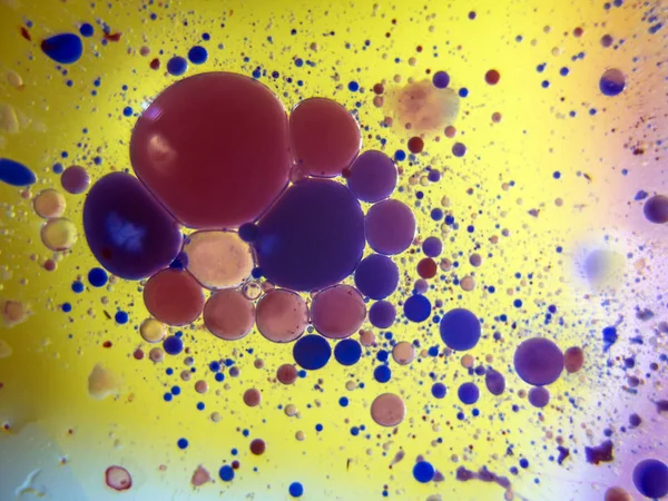 boya ile kimyasal deney