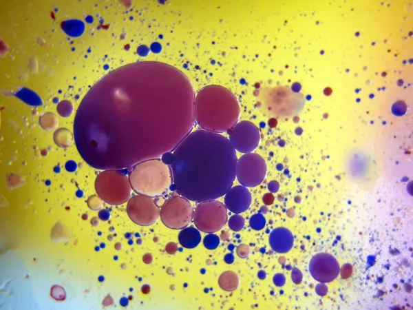 boya ile kimyasal deney