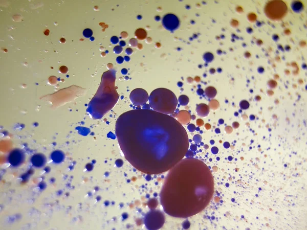 boya ile kimyasal deney