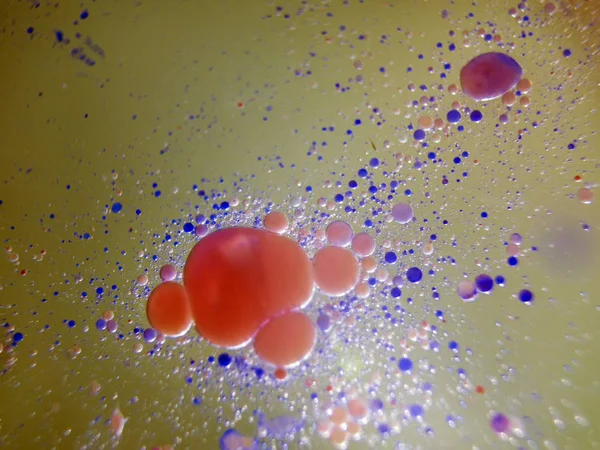 boya ile kimyasal deney