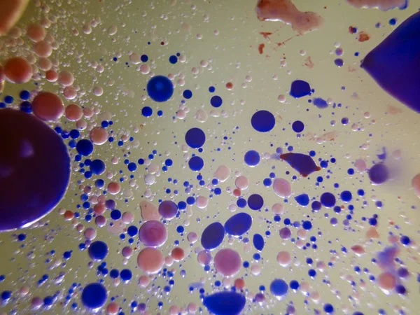 boya ile kimyasal deney