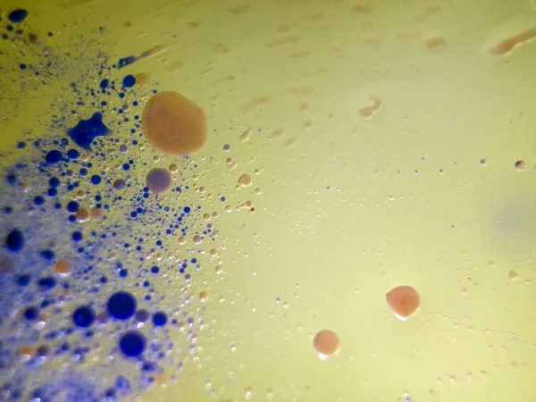 boya ile kimyasal deney