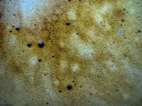 boya ile kimyasal deney