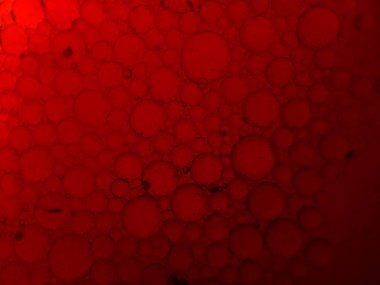 boya ile kimyasal deney