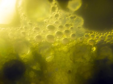 boya ile kimyasal deney