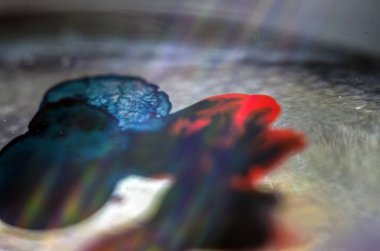 boya ile kimyasal deney