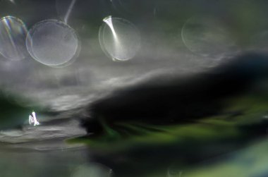 boya ile kimyasal deney