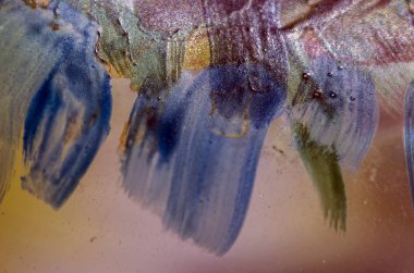 boya ile kimyasal deney