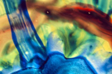 boya ile kimyasal deney