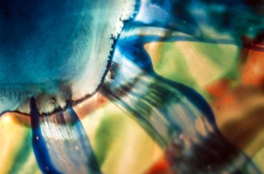 boya ile kimyasal deney