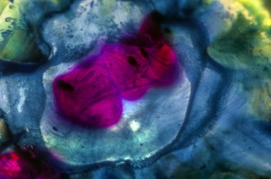 boya ile kimyasal deney