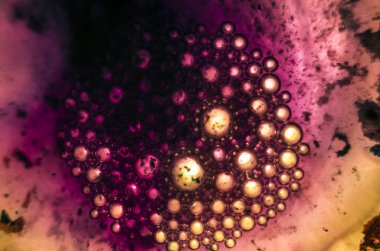 boya ile kimyasal deney