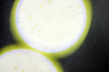 boya ile kimyasal deney