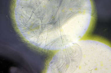 boya ile kimyasal deney