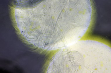 boya ile kimyasal deney