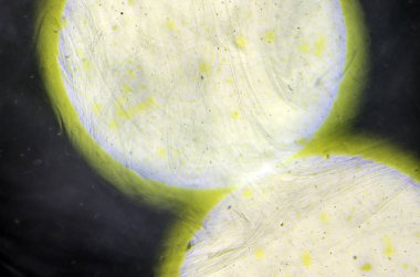 boya ile kimyasal deney