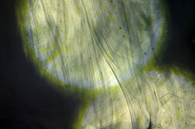 boya ile kimyasal deney