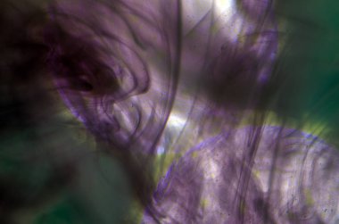 boya ile kimyasal deney