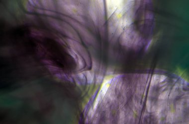 boya ile kimyasal deney