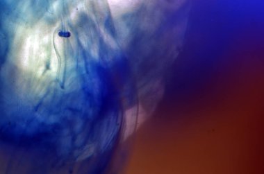 boya ile kimyasal deney