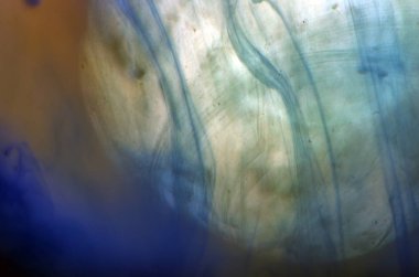 boya ile kimyasal deney