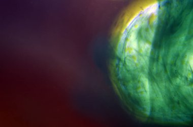 boya ile kimyasal deney